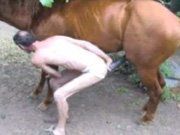 Gay trepando com cavalo na fazenda do amigo