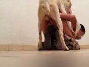 Porno animal entre gay e cachorro tarado